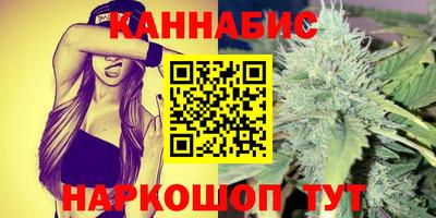 индика Заводоуковск