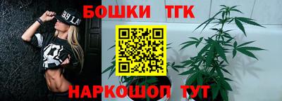 индика Заводоуковск