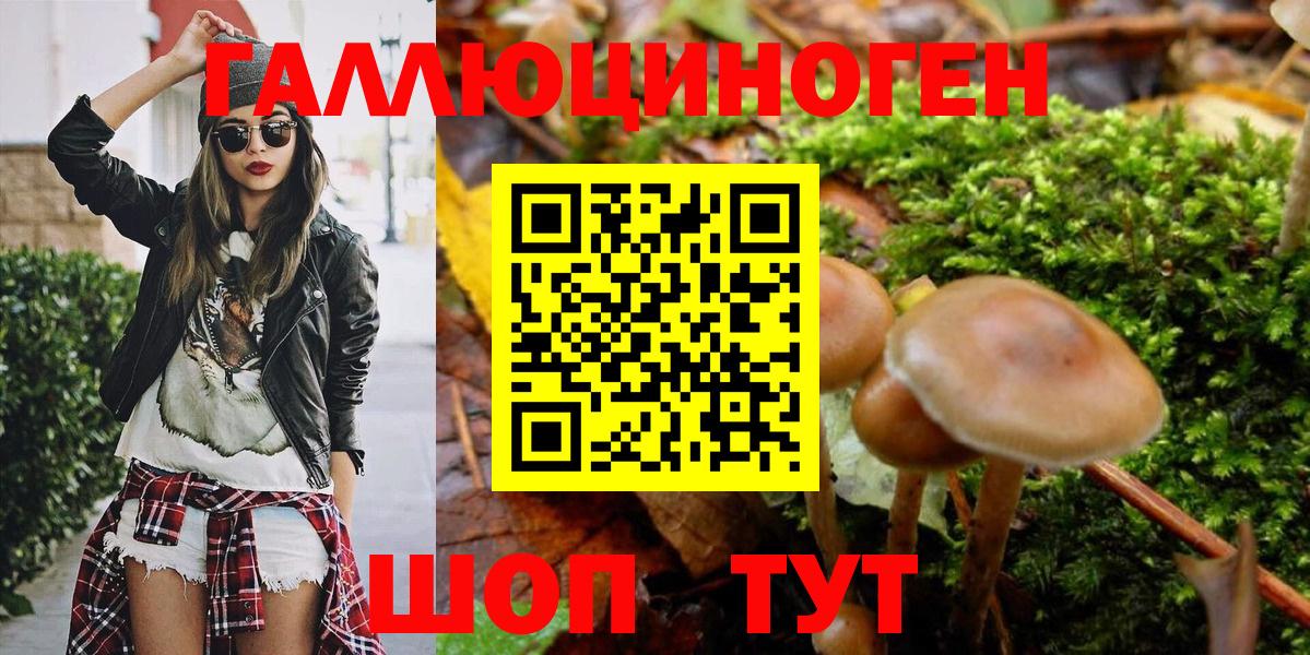 Волхов  Псилоцибиновые грибы Magic Shrooms  Вход с VPN 
