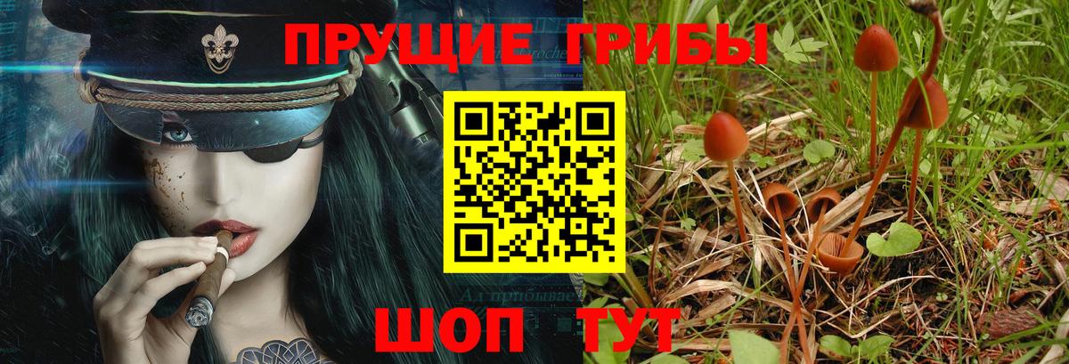 Псилоцибиновые грибы ЛСД Волхов